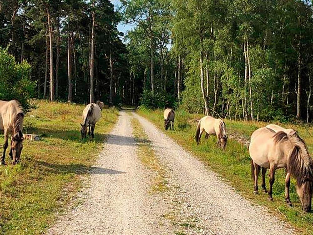 5 Person Holiday Home in Vaeggerlose view 3