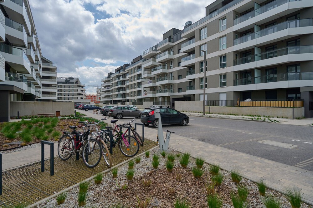 Pet-friendly Apartment by Renters view 3