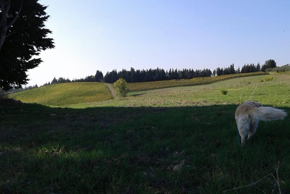 Photo 43