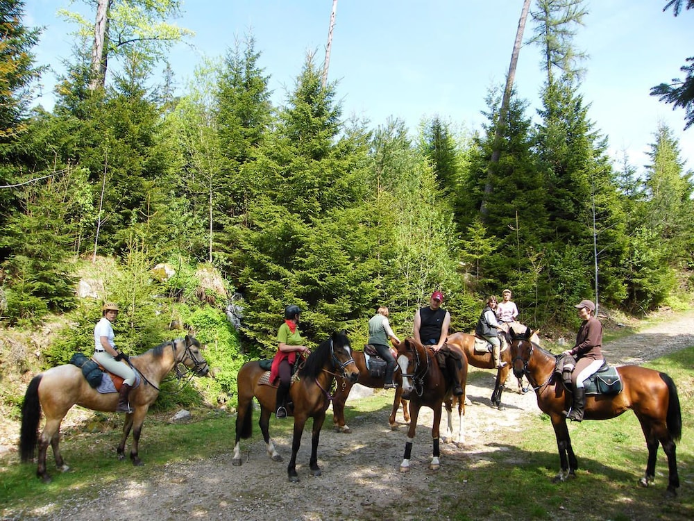 Camping Osenbach