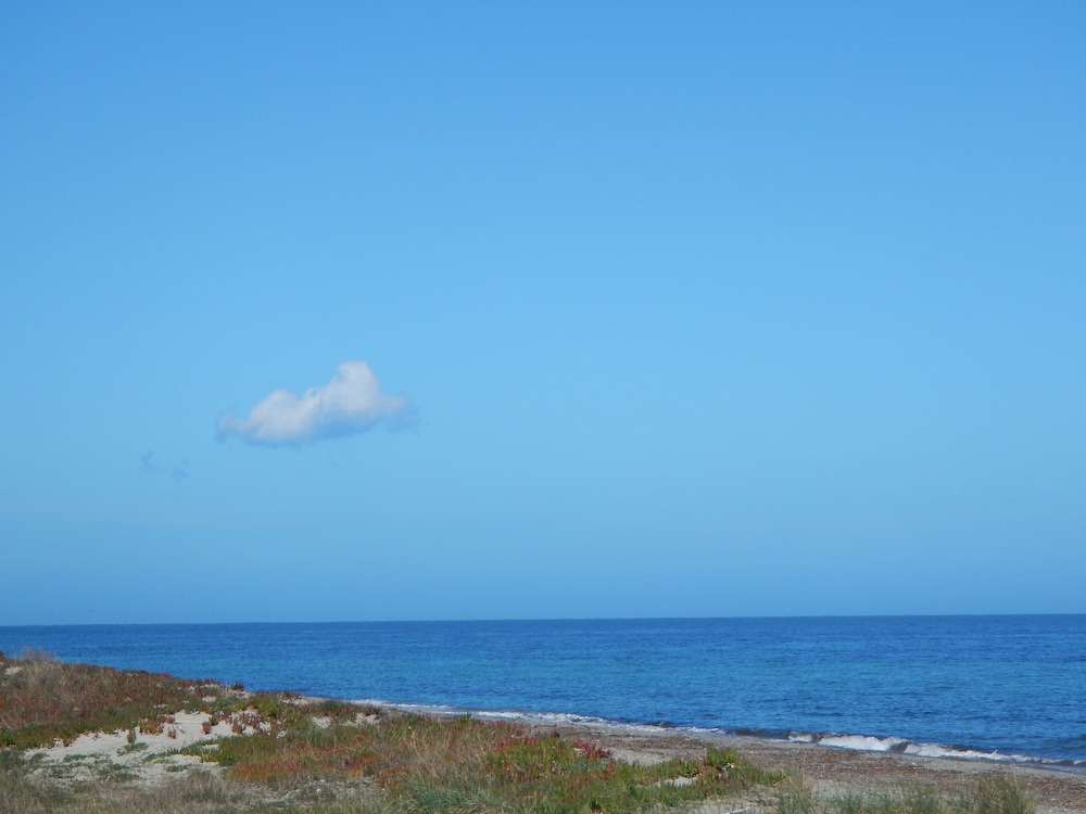 Rico Plage