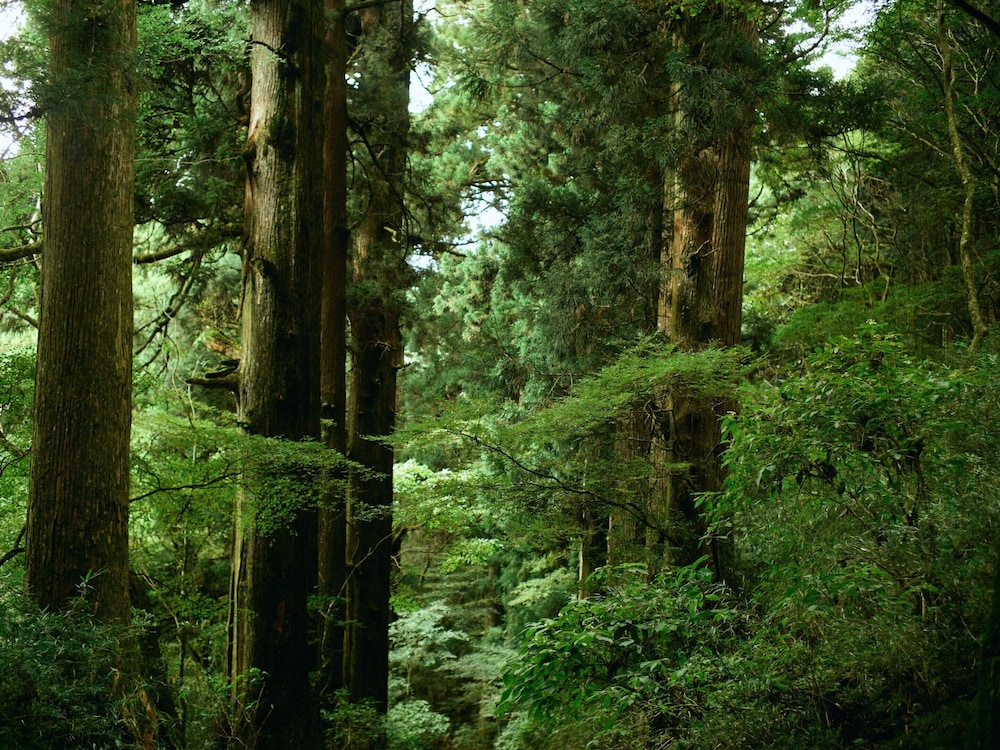GEOSPOT MOTOHAKONE A
