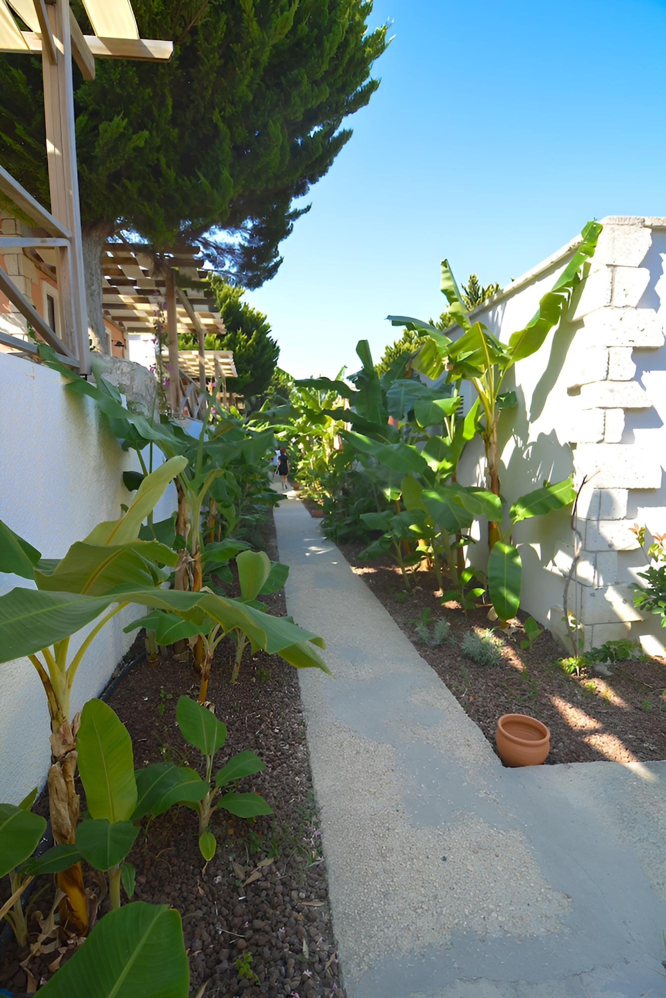 Photo 22