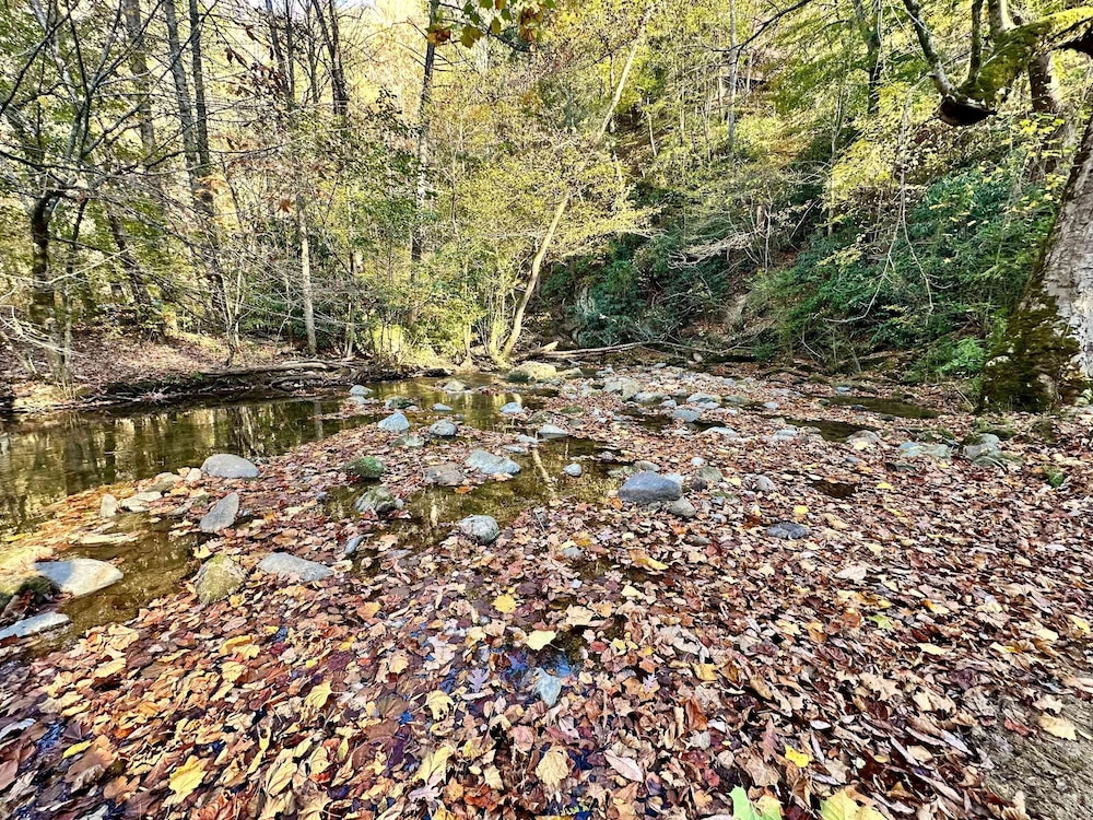 Cove Creek Overlook