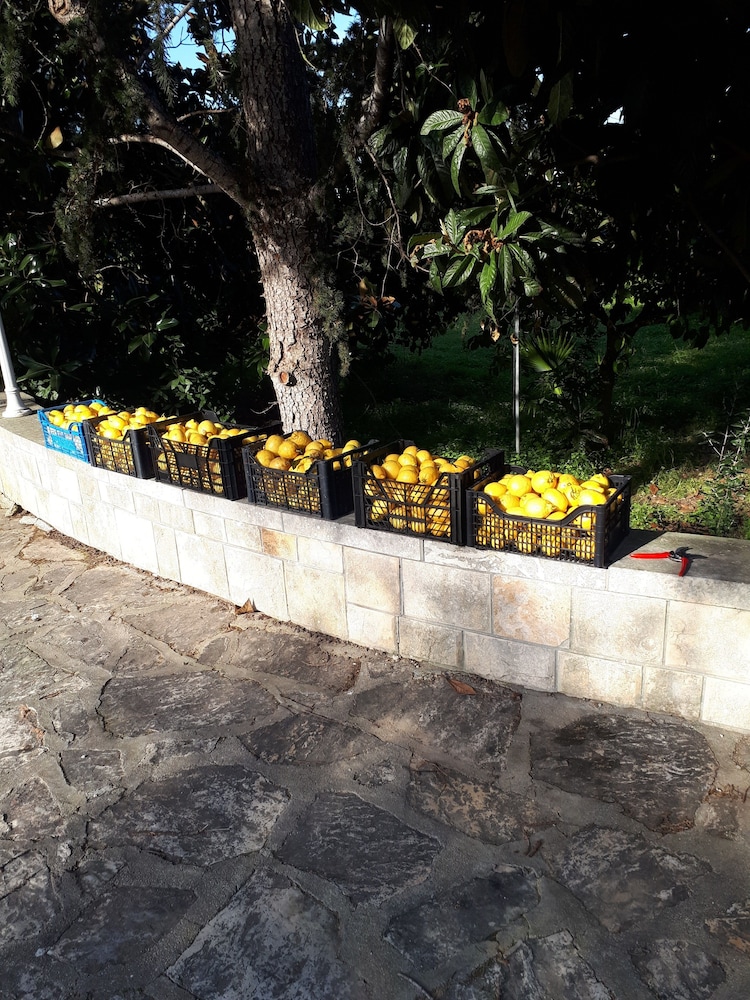 Photo 48