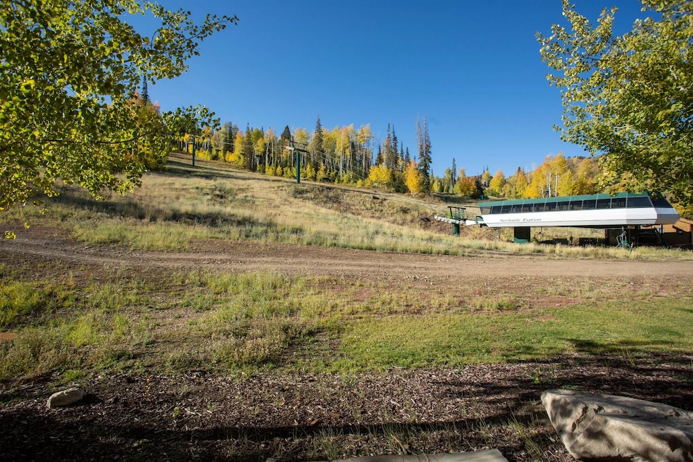 Grand Lodge - Four Bedroom #306 - Ski-in/ski-out 4 Condo