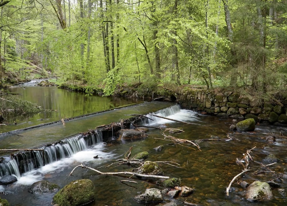 Ferienhauser im Schierke Harzresort, Schierke