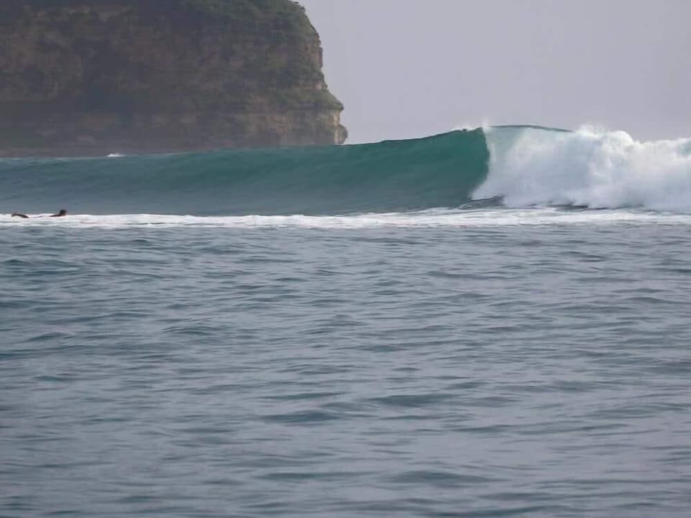 Ekas Surf Resort view 5