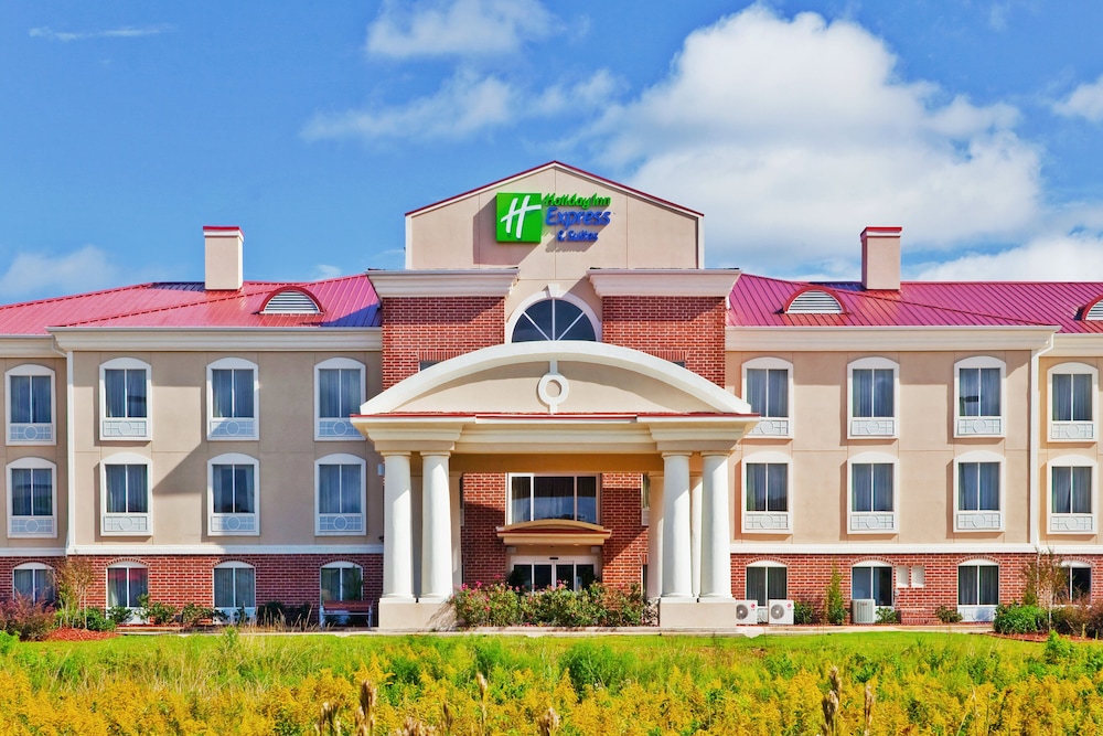 Hotel Holiday Inn Express Hotel & Suites Magee, an IHG Hotel - Image 1