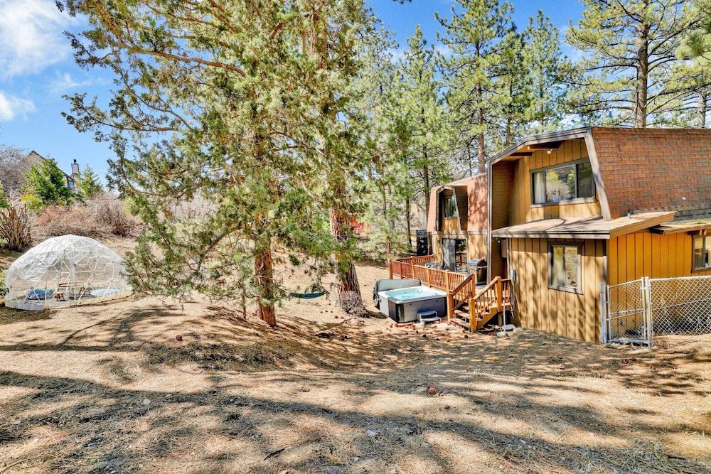 Big Cub Cabin #2521