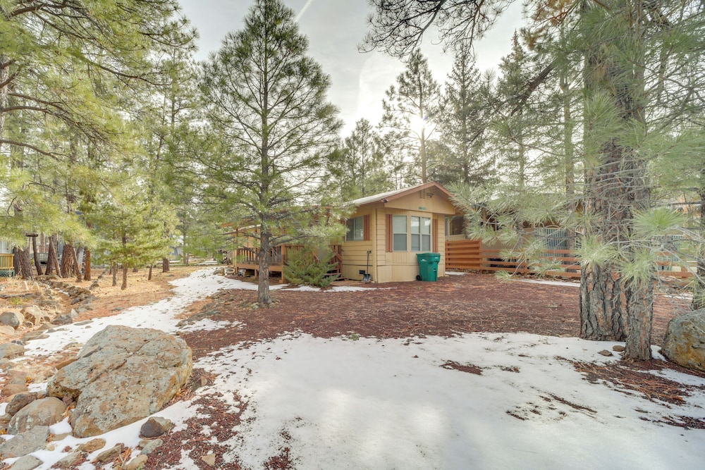 Near Hiking Trails: Tranquil Cabin in Munds Park!