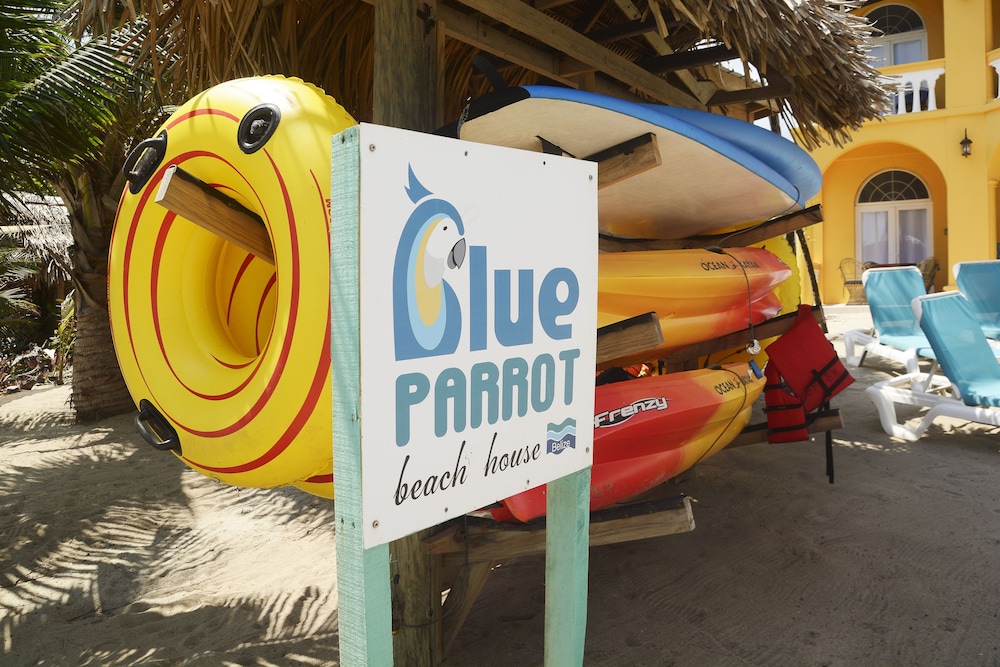 Blue Parrot Beach House