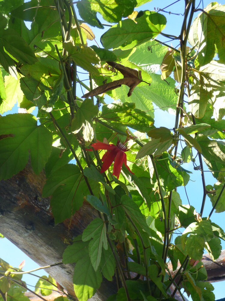 Granada Vacations - Hostal Surfing Donkey At The Lake - Hostel - Property Image 6