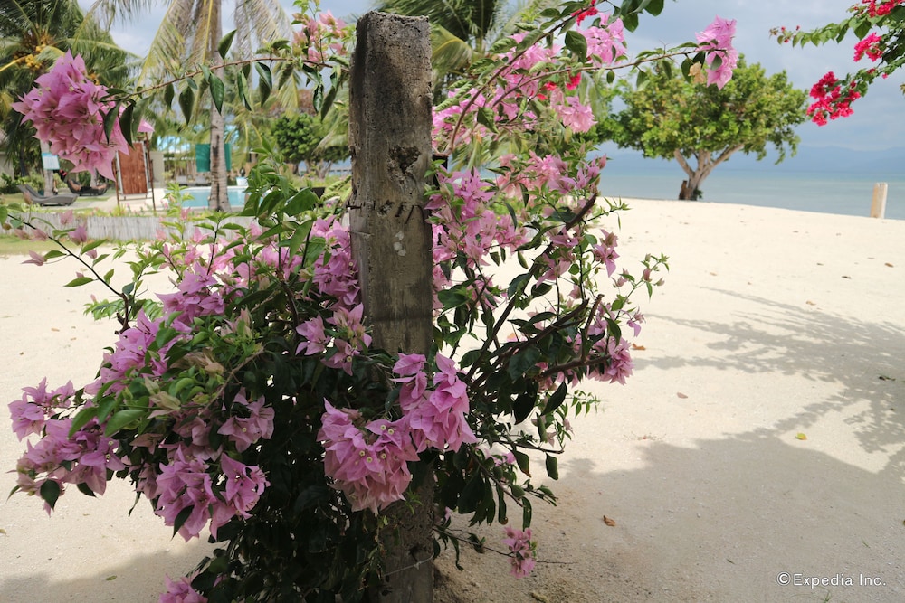 Dos Palmas Island Resort & Spa