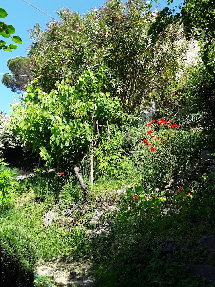 La Casa del Castello, photo 43