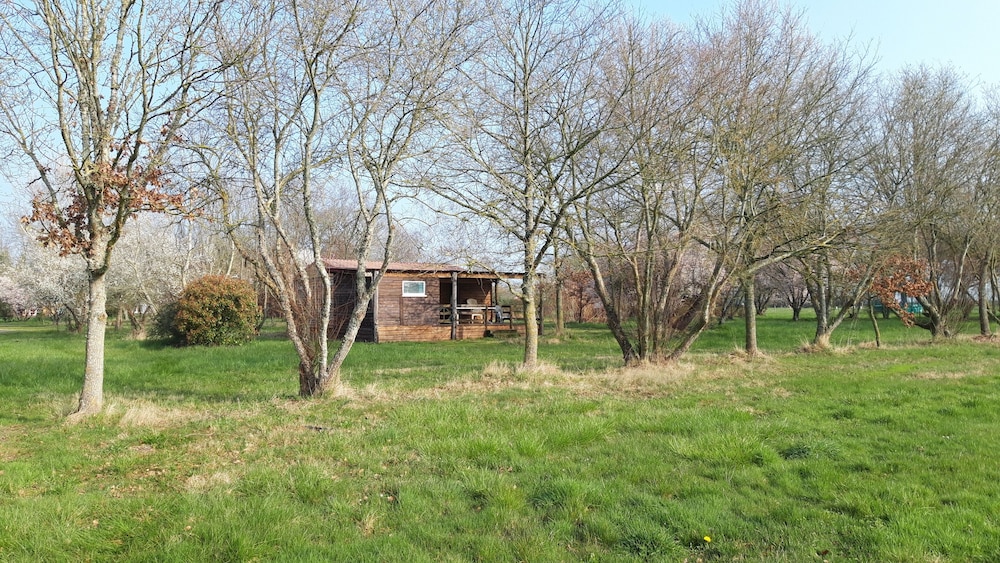 Photo 22