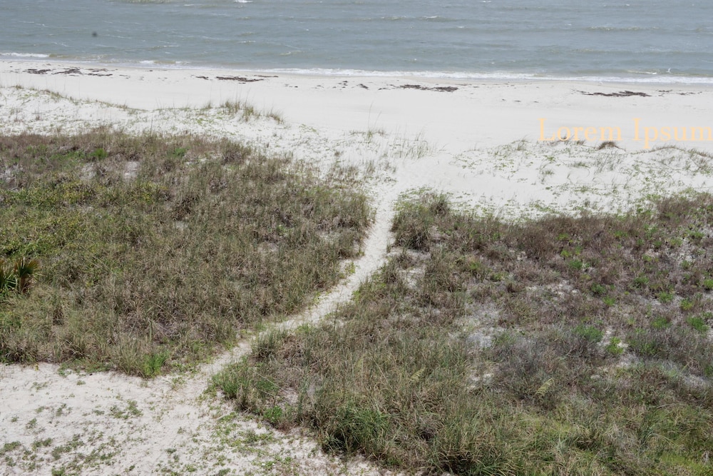Seminole Wind