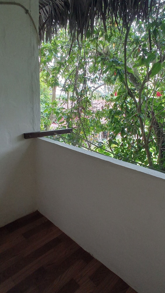 Photo 31