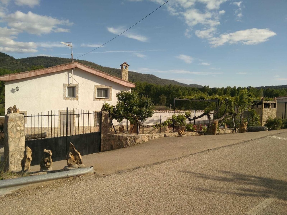 Photo 15