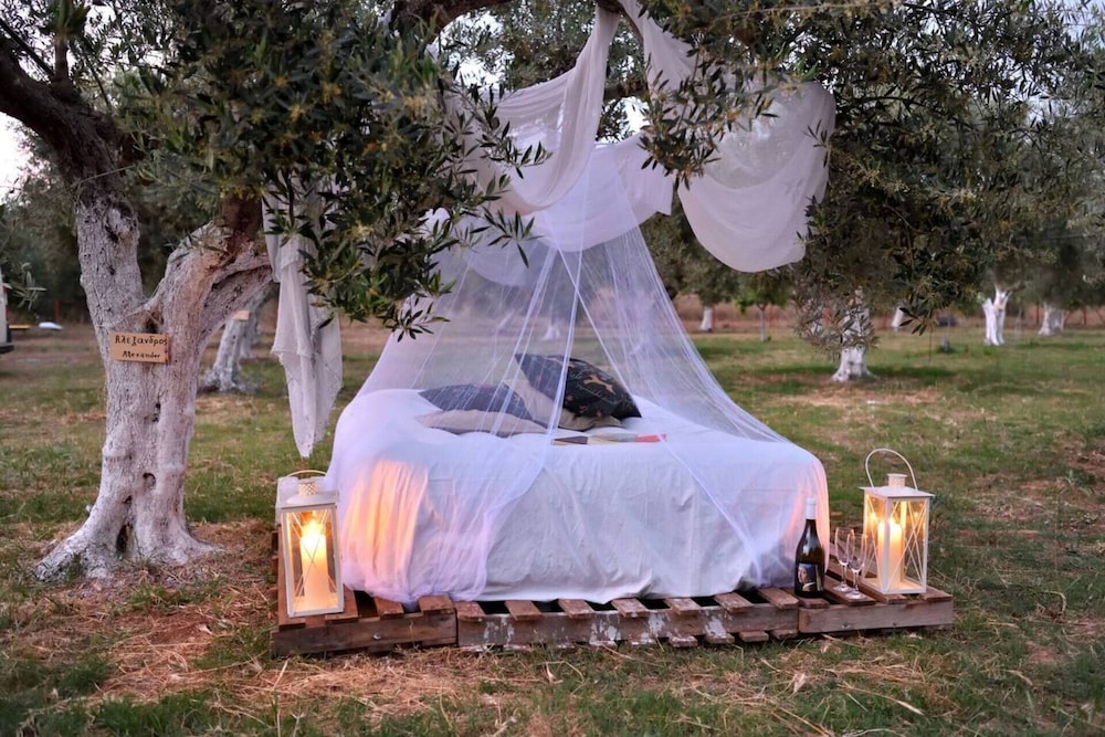 Cocoon Tent in an Olive Grove photo 3