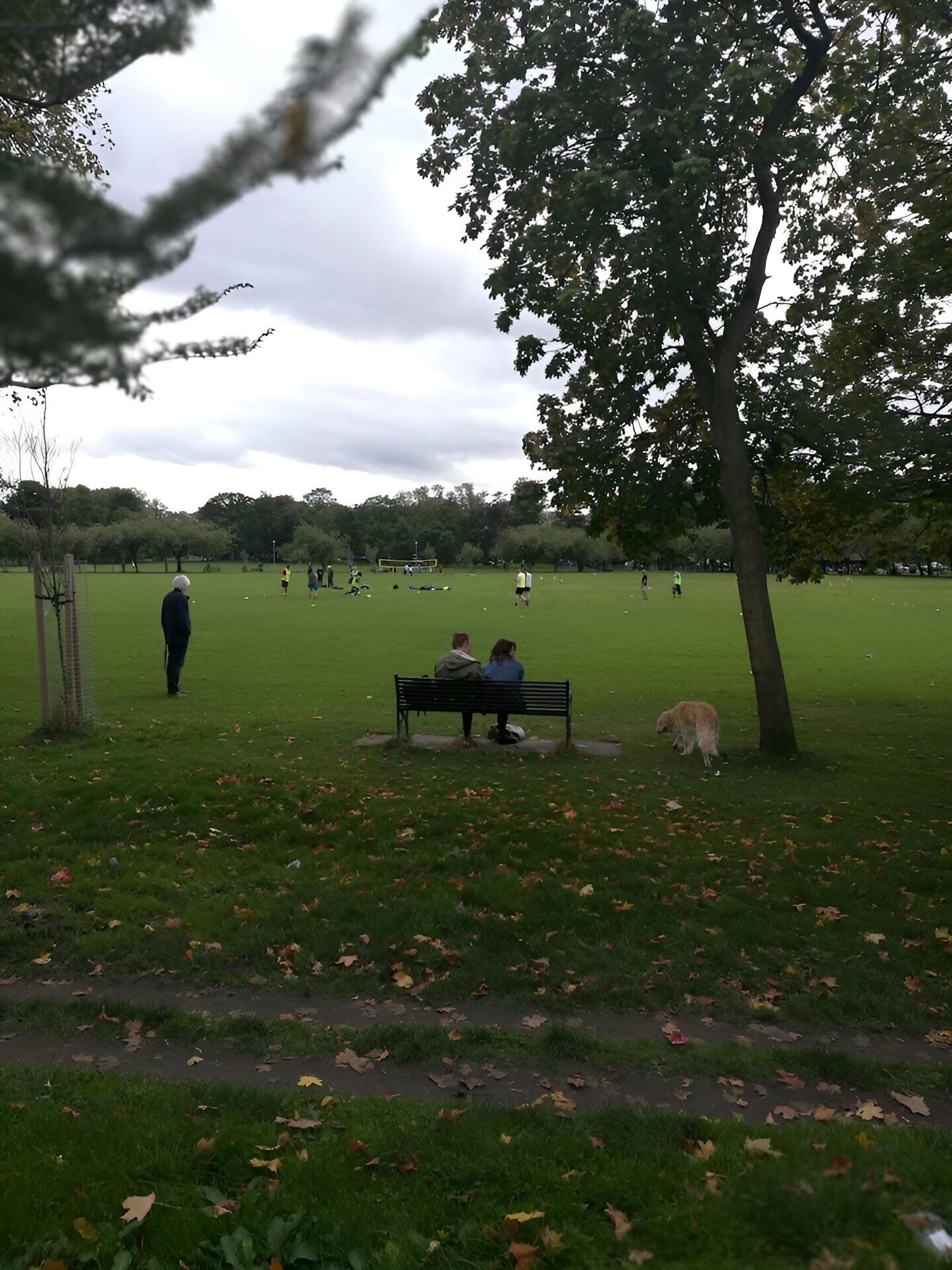 Central Fringe Base With Garden Near the Meadows