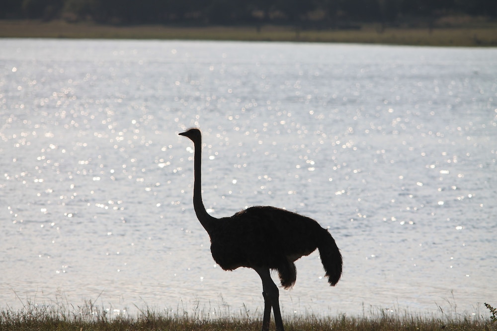 Finfoot Lake Reserve by Dream Resorts