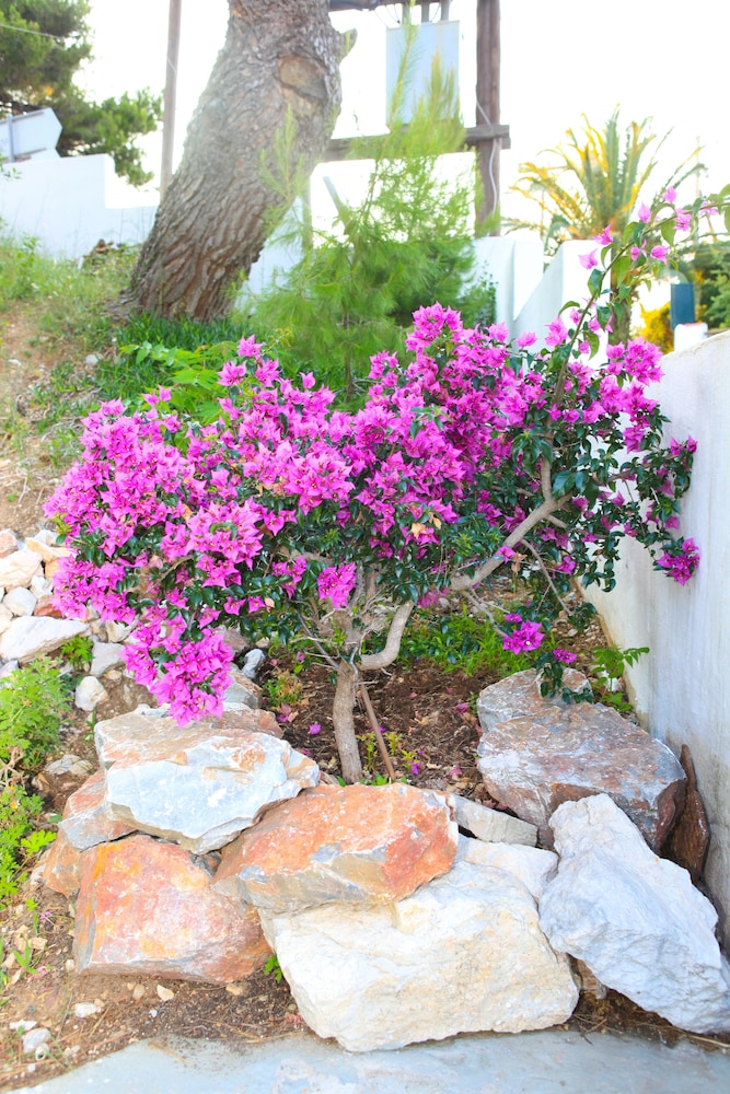 Stafylos Suites Boutique Hotel
