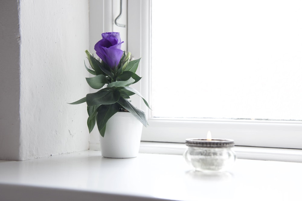 Odense Vacations - Lotus BB  Spa - Indre Ro Yoga - Property Image 24