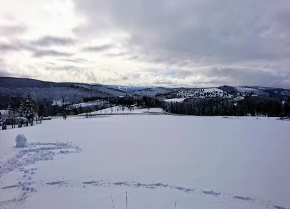 Ferienwohnung mit Aussicht, Neuastenberg