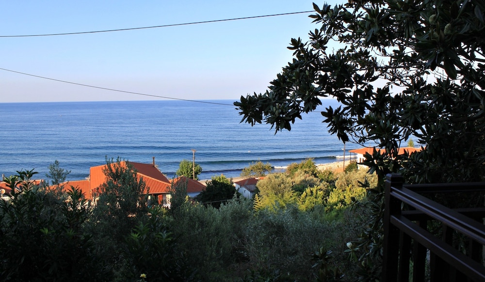 Villa Magnolia photo 4