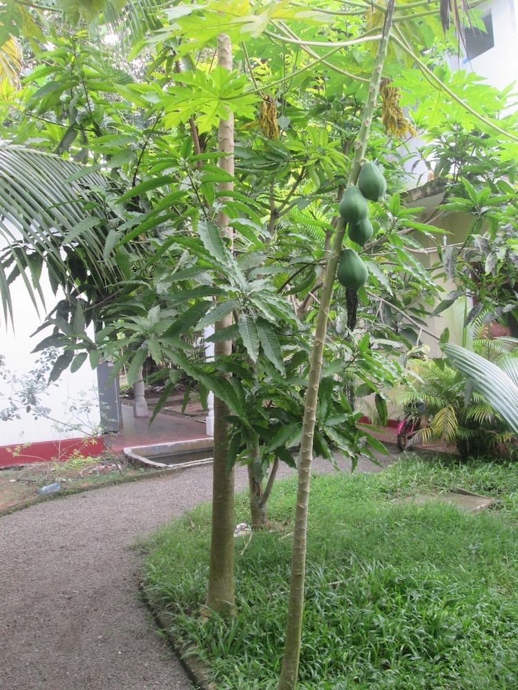 Photo 27
