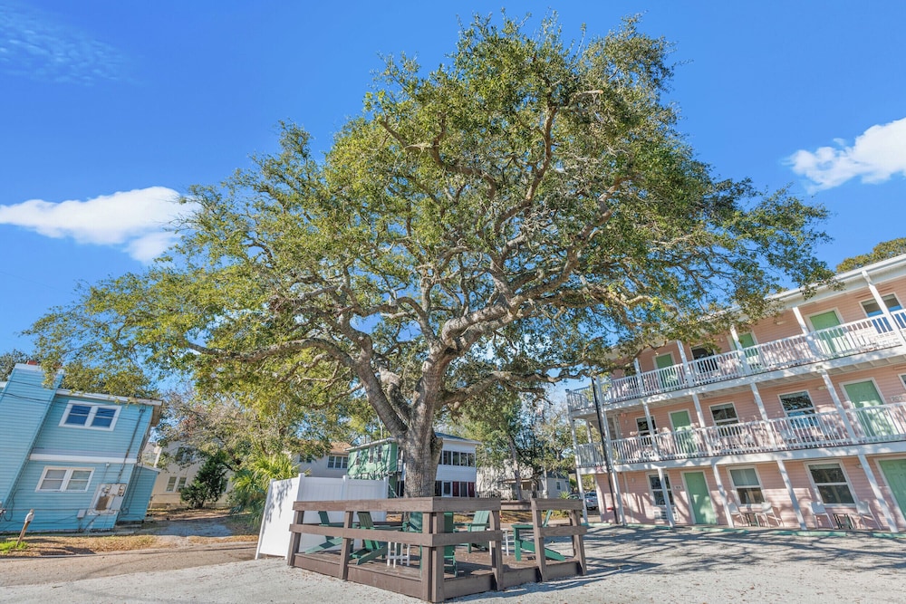 Treehouse Lounge - RR Beach Club