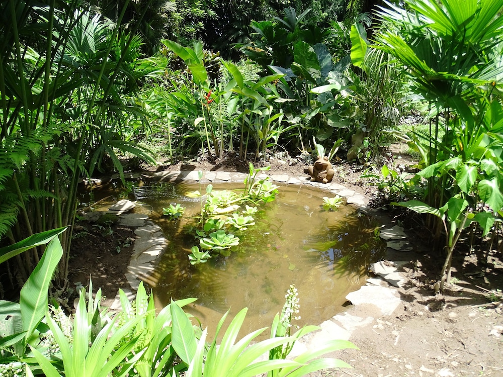 Heliconia Island