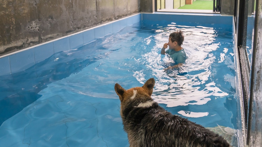 Taean Aloha Oe Pet Pool Villa