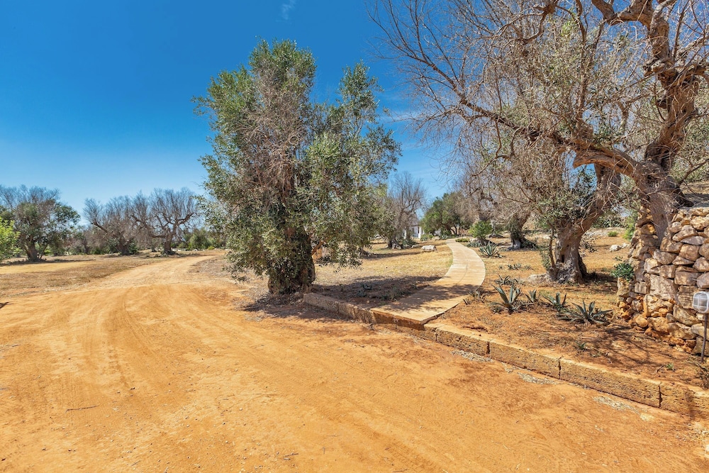 3621 Tenuta Terra del Sole by Perle di Puglia view 4
