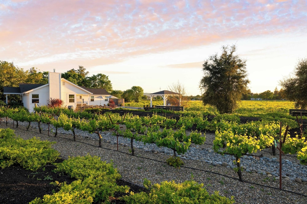 Chic Sonoma Oasis w/ Pool, Bocce, Hot Tub + Minutes to Downtown