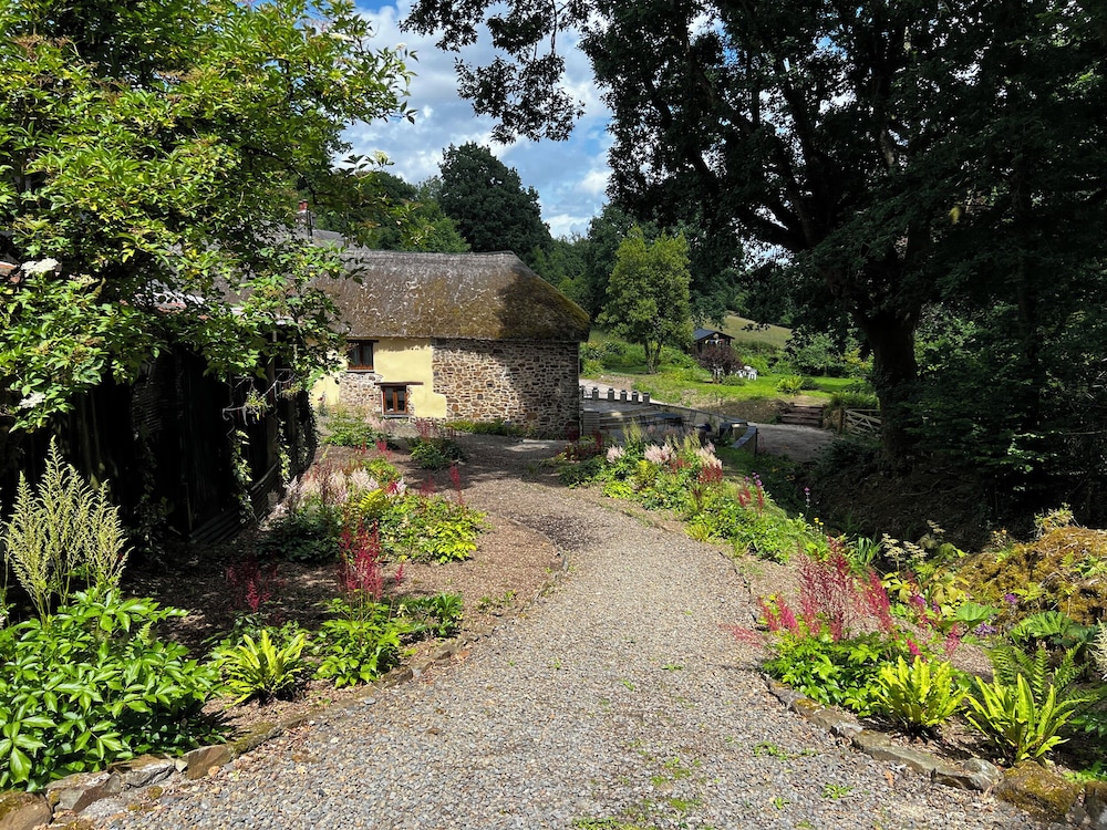 The Milking Parlour