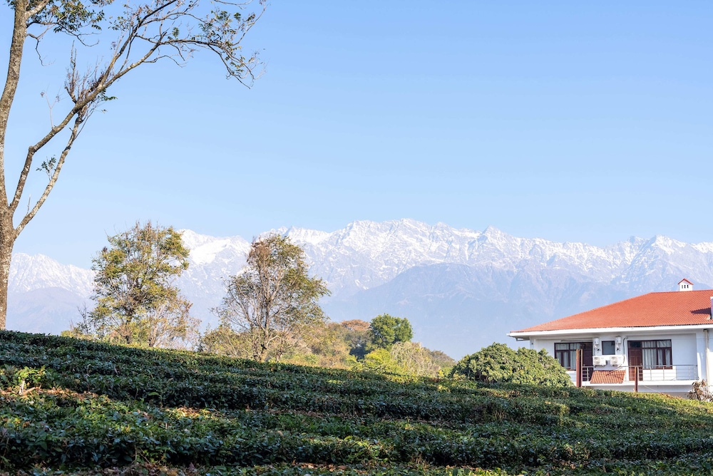 Seclude Tea Estate Palampur