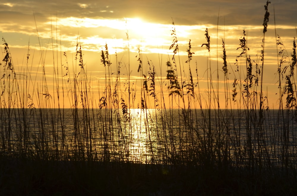 Pass-a-Grille Beach Historic Spanish Triplex