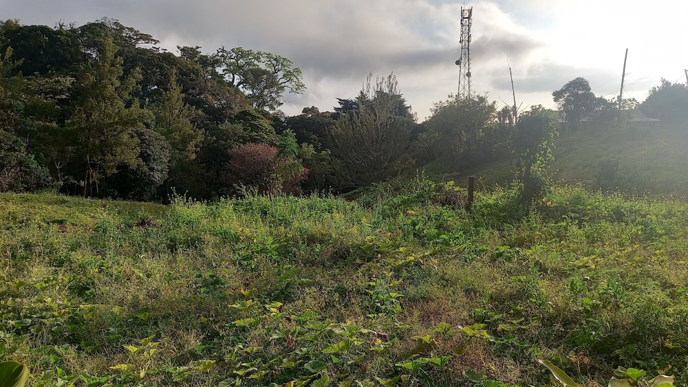 Finca panthera
