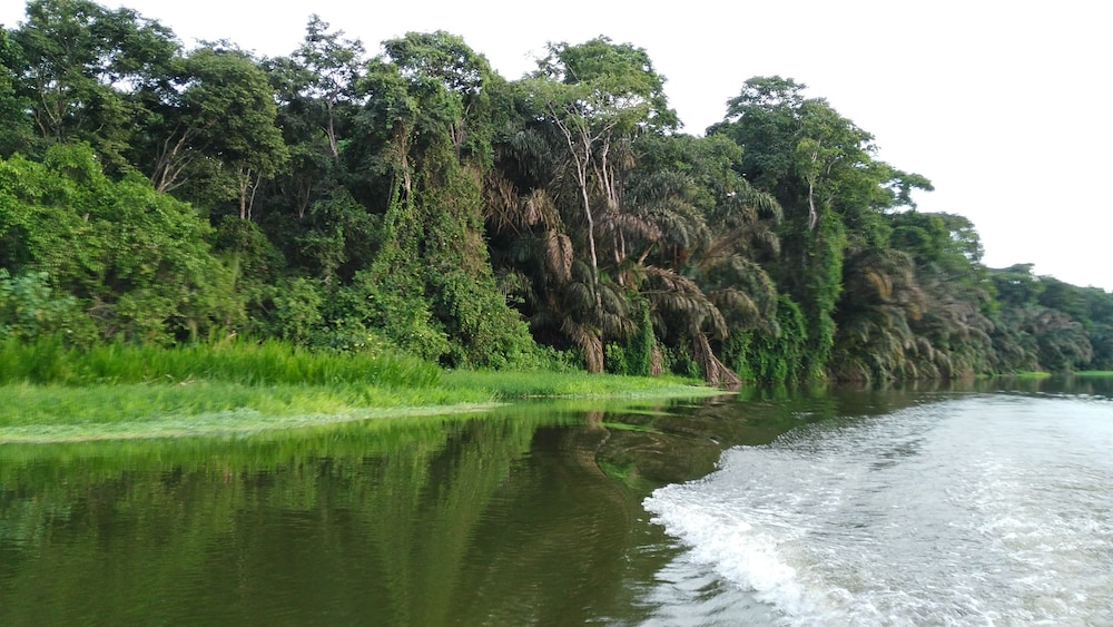Lirio Lodge