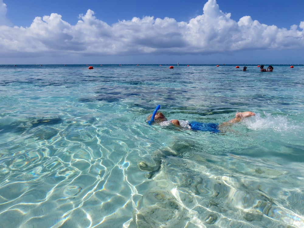 Photo 41