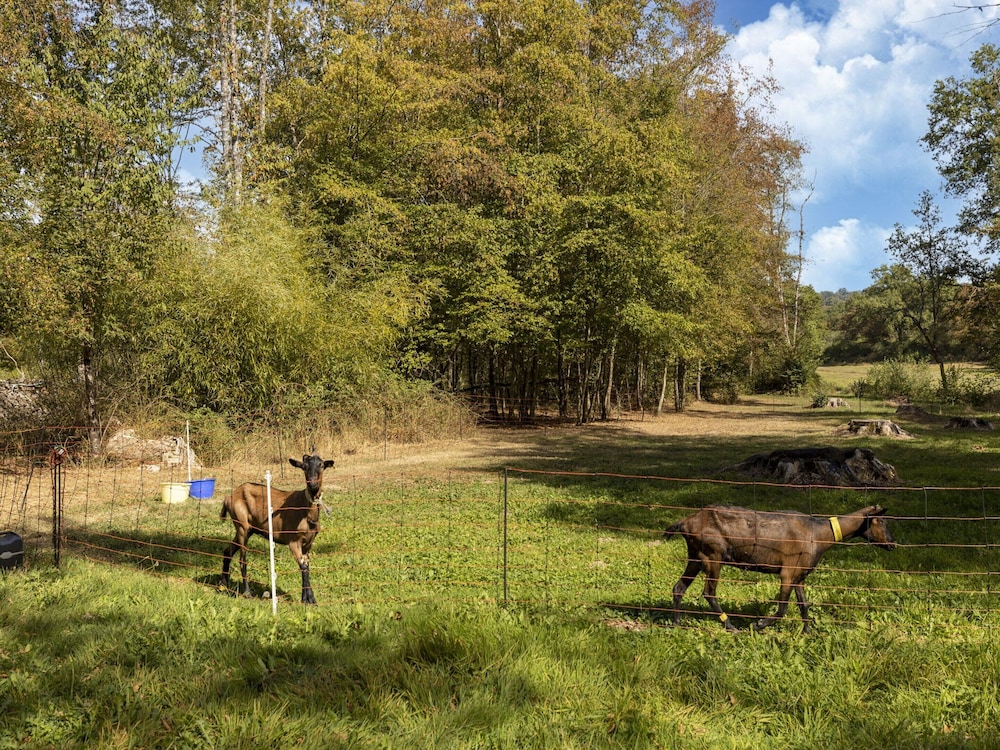 Country House Near Parc du Morvan With Pool