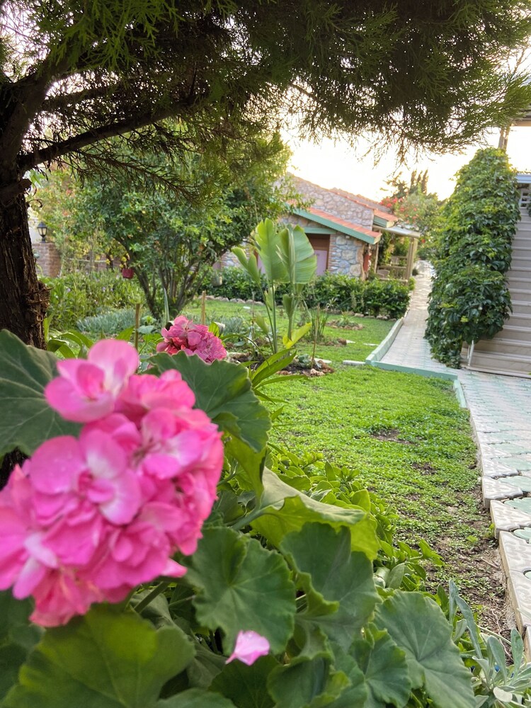 SUNA HOUSE