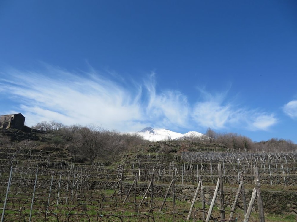 Le Case del Merlo