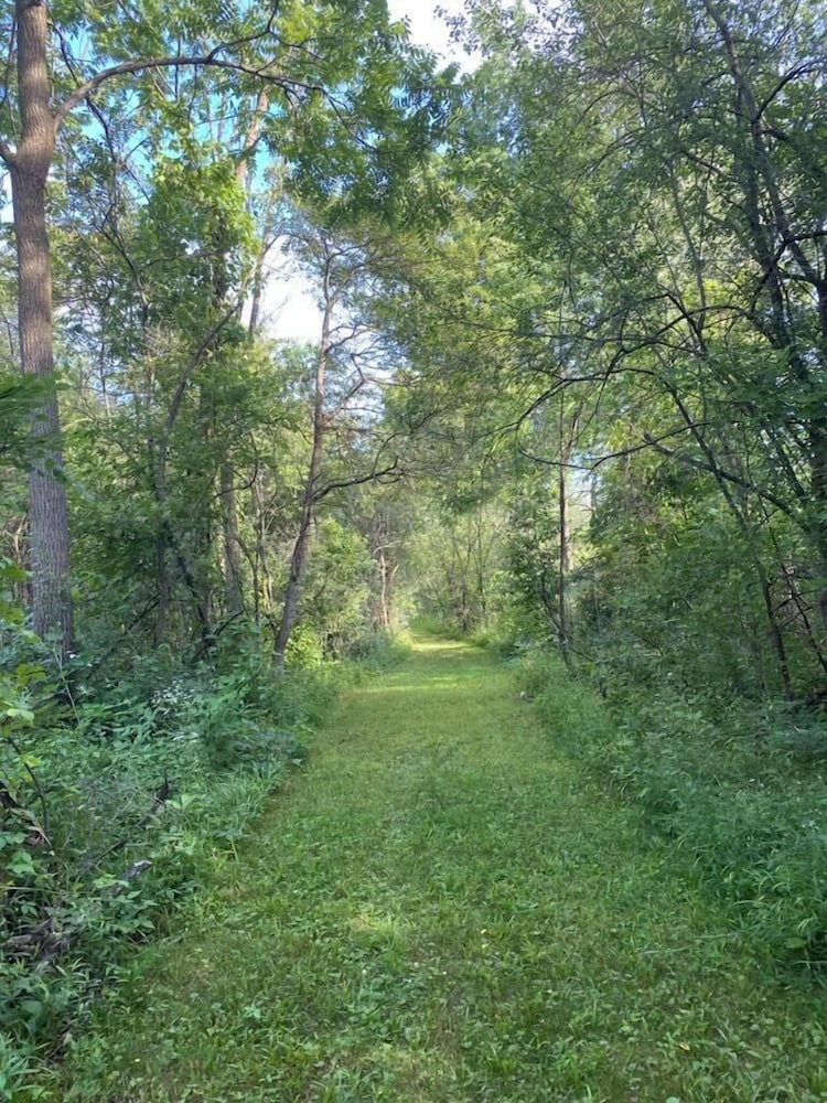 Photo 45