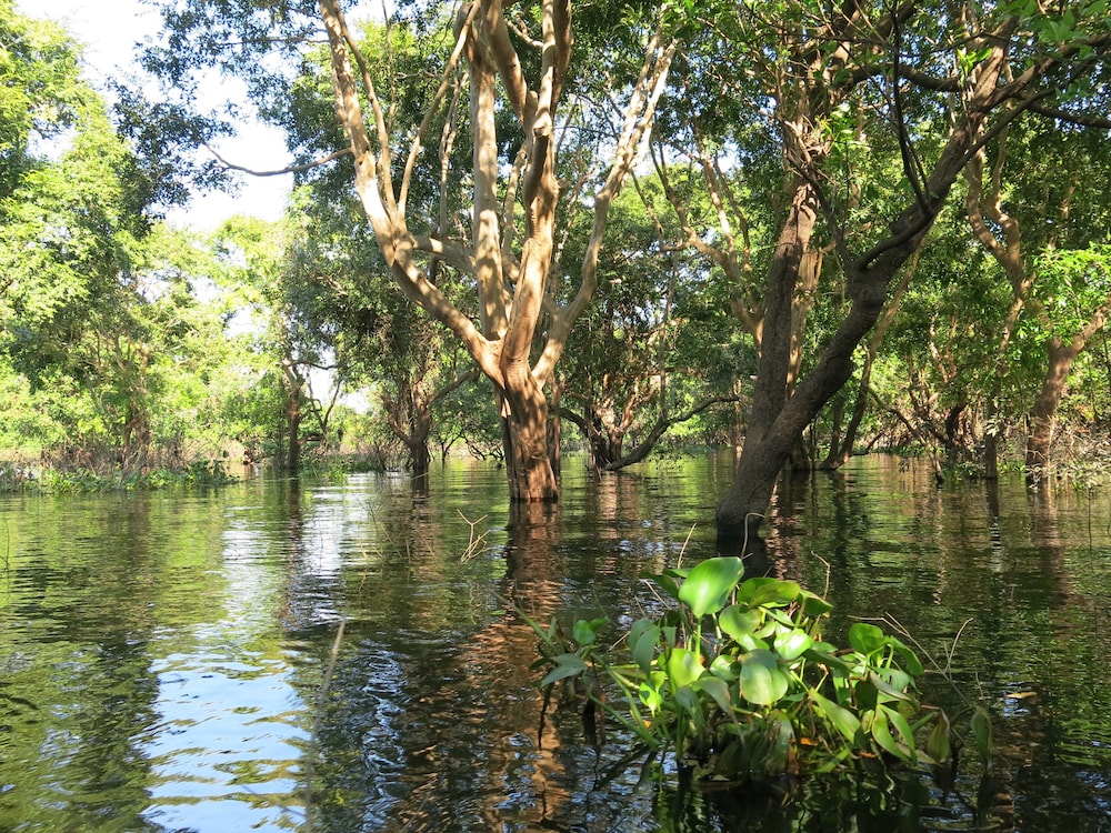 Phocea Cruise Phnom Penh to Siem Reap