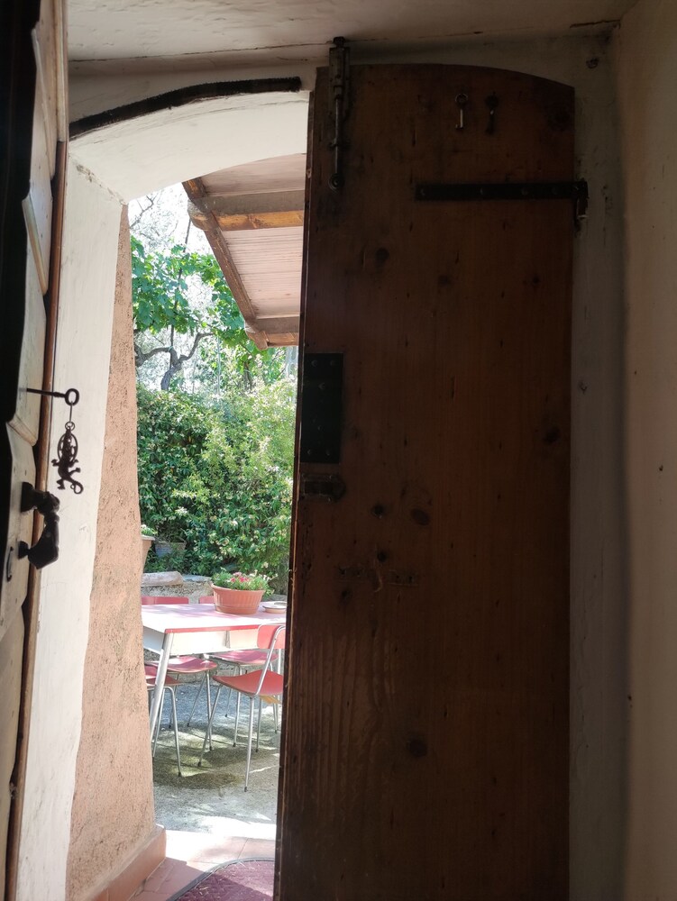 Photo 41