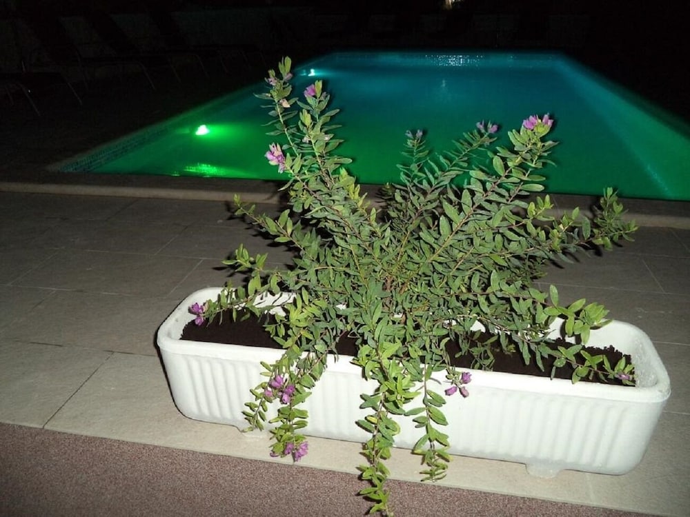 Photo 24