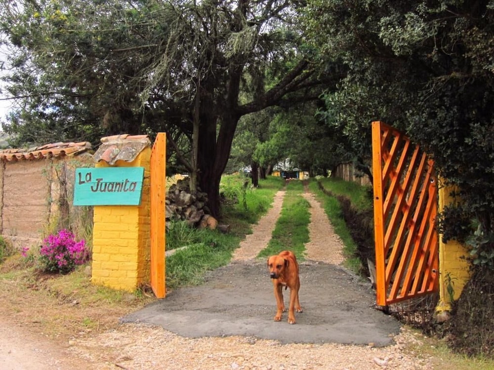 La Juanita Finca Verde